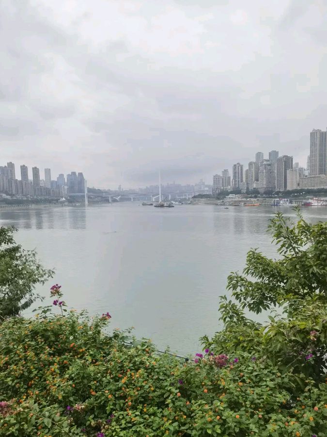 「散文诗」雨雾中的南滨风光（图9）