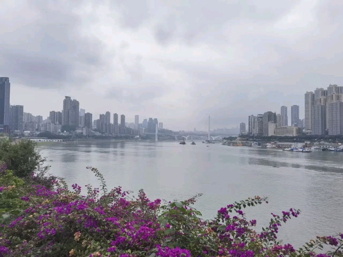 「散文诗」雨雾中的南滨风光（图10）
