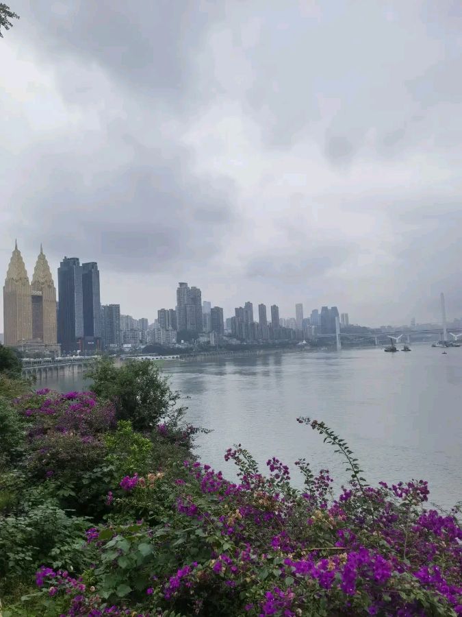 「散文诗」雨雾中的南滨风光（图3）