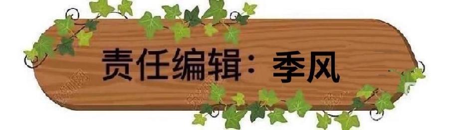 东渡诗社:十一月刊(总期第五十四期)2024年|海外头条(图21)