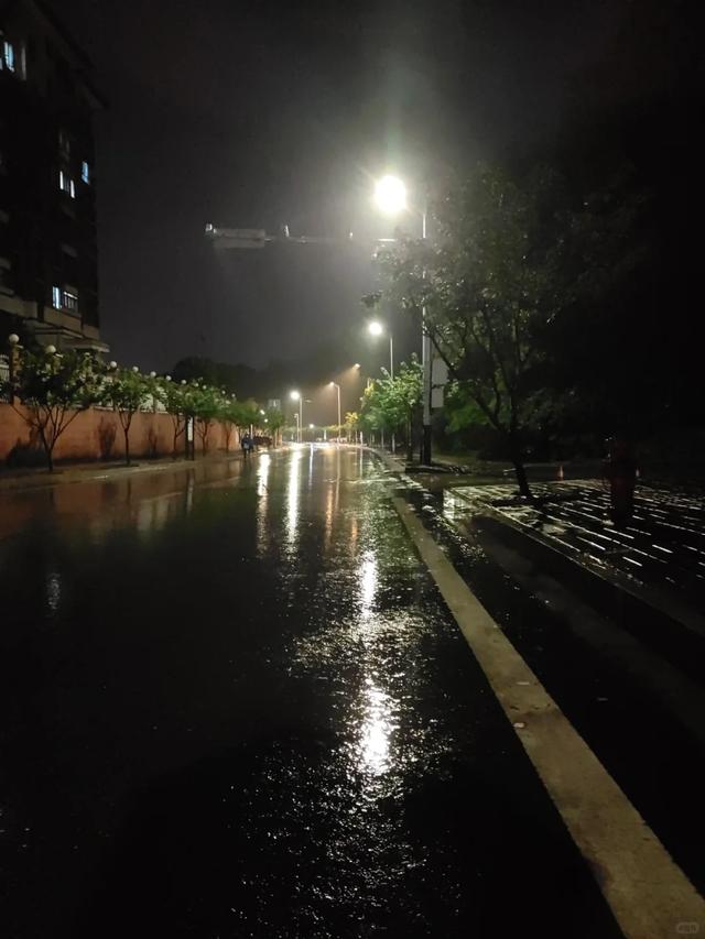 【新山东文学社】《雨夜随想(三首)》作者/樊志刚 主播/星空(图3)