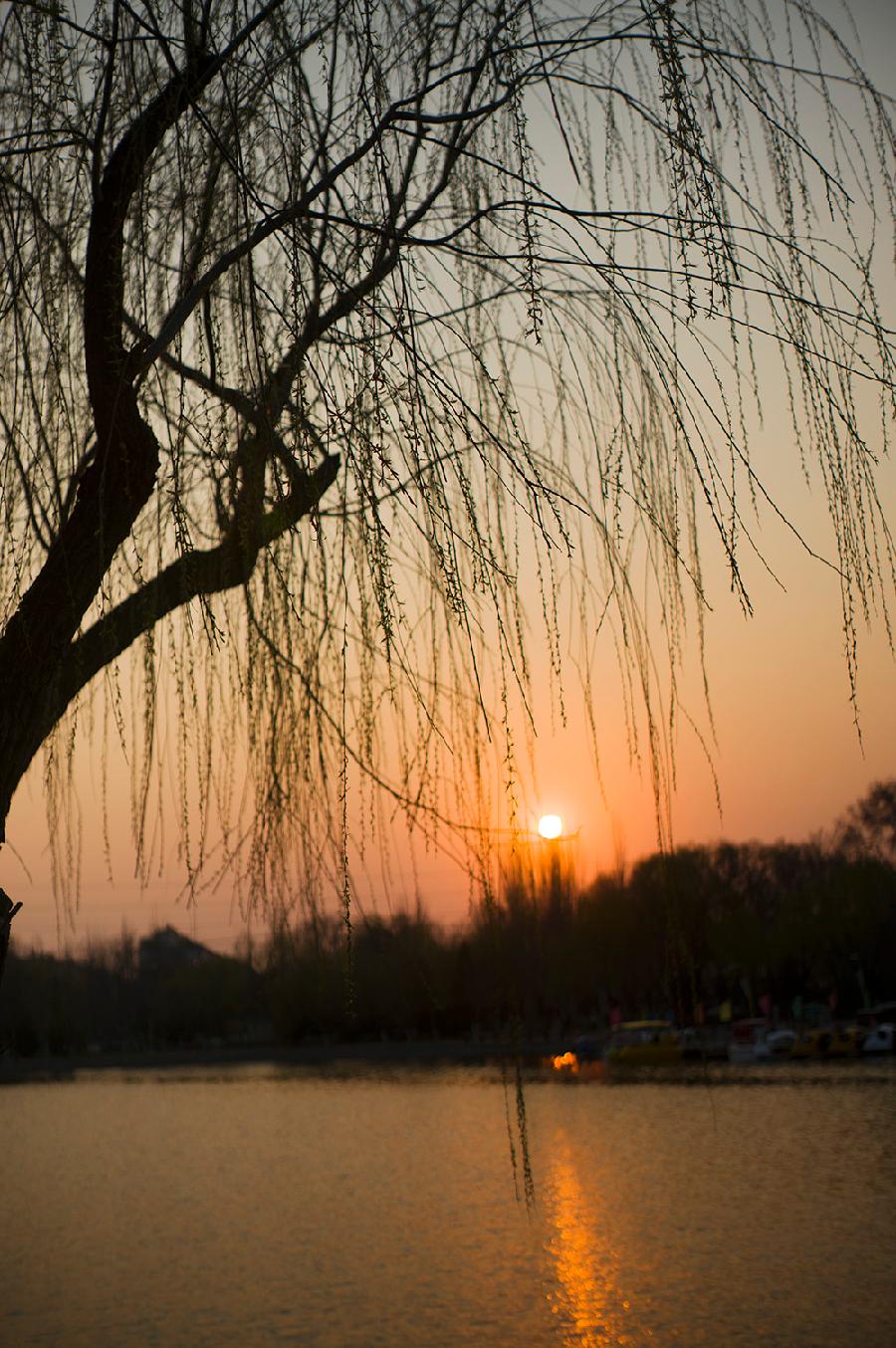 七绝 . 无题（三首）文/江冲（图5）