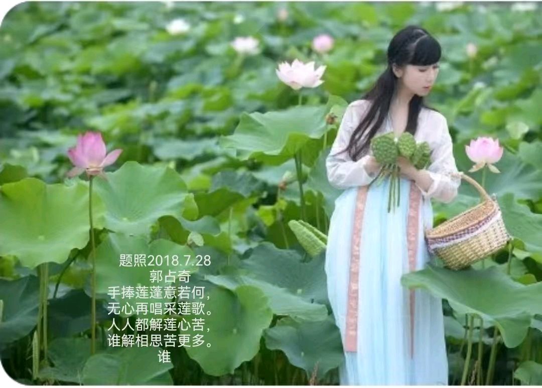郭占奇老师“咏荷”汇编（之一）（图6）