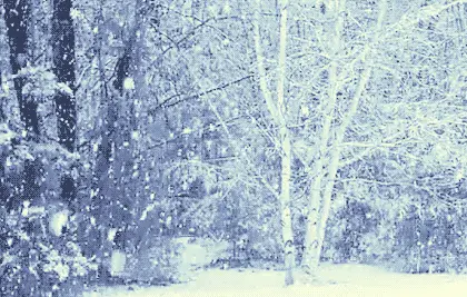 【神都诗社】第106期《雪》(图5)