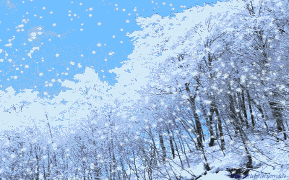 【神都诗社】第106期《雪》(图11)