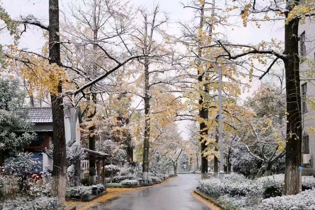 一如既往的惯性文/江琦瑛（福建）主播/高燕（图3）