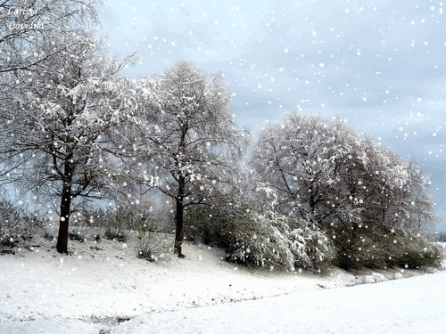 【神都诗社】第106期《雪》（图15）