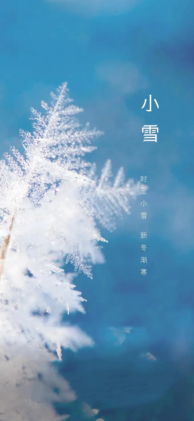 七律·甲辰小雪吟（文/邹晓华）……莲叶之珠文学社（图4）