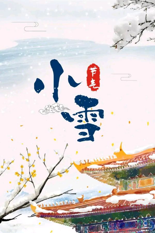 「散文」你好，小雪，斑鸠忙着觅食饱暖（图4）