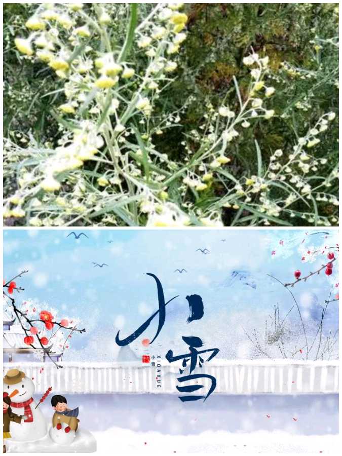 【经典推荐】曾培方//少年游•参加中兴非遗庙会有感赋[系列作品展]（图4）
