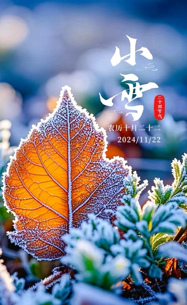 甲辰小雪吟怀（组合）诗||于兴庆（图19）