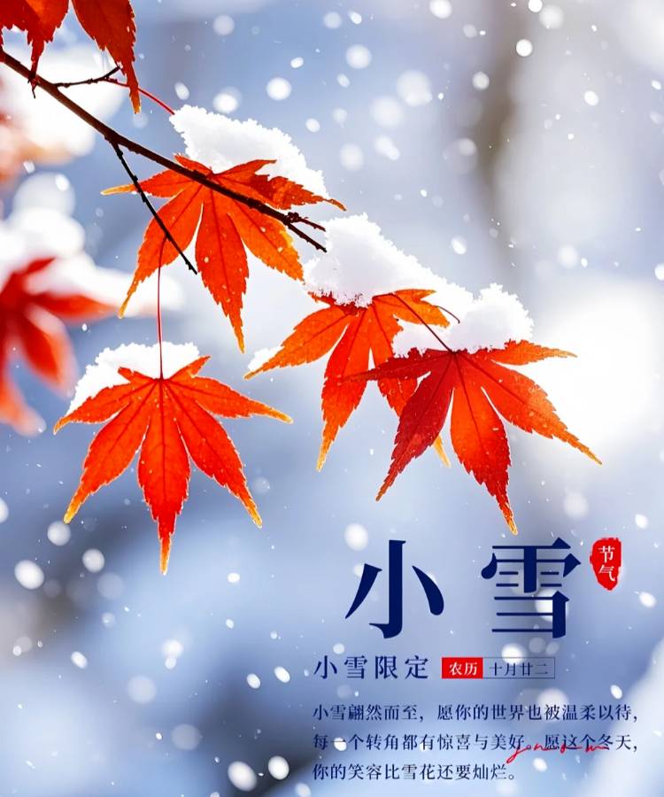 小雪感怀文/青山新雨一一一一（图3）