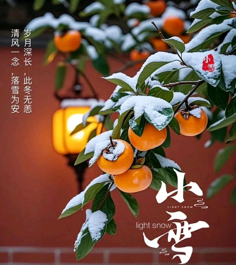 小雪感怀文/青山新雨一一一一（图4）