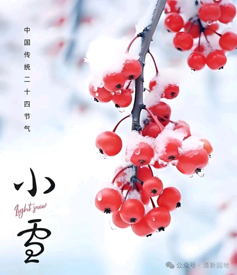 藏头诗:小雪节气文/王俊杰(天津)（图3）