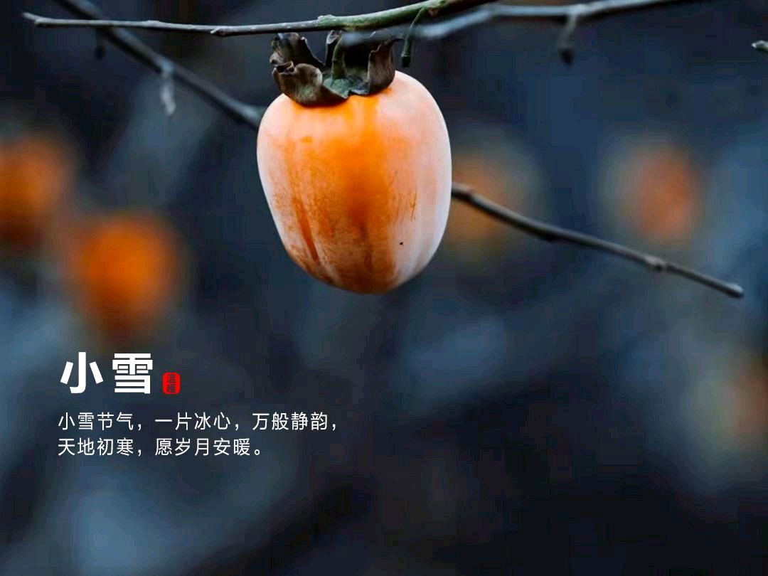 《九江文学社：北京头条》《甲辰小雪节气》专刊（图3）