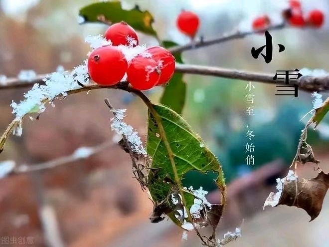 《九江文学社：北京头条》《甲辰小雪节气》专刊（图8）