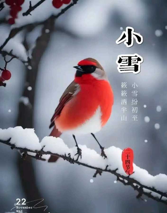 《九江文学社：北京头条》《甲辰小雪节气》专刊（图7）