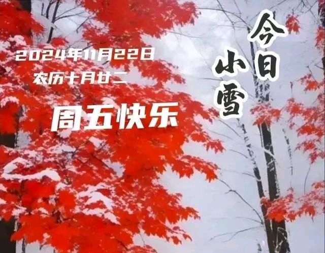 《九江文学社：北京头条》《甲辰小雪节气》专刊（图17）