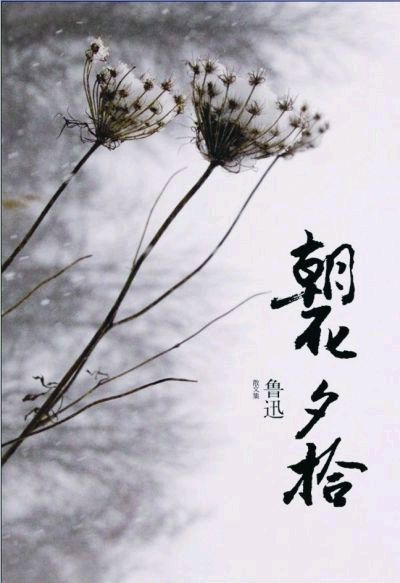 九合群唱和第50期：纪念鲁迅先生‖巴彦诗词楹联协会【778】（图5）