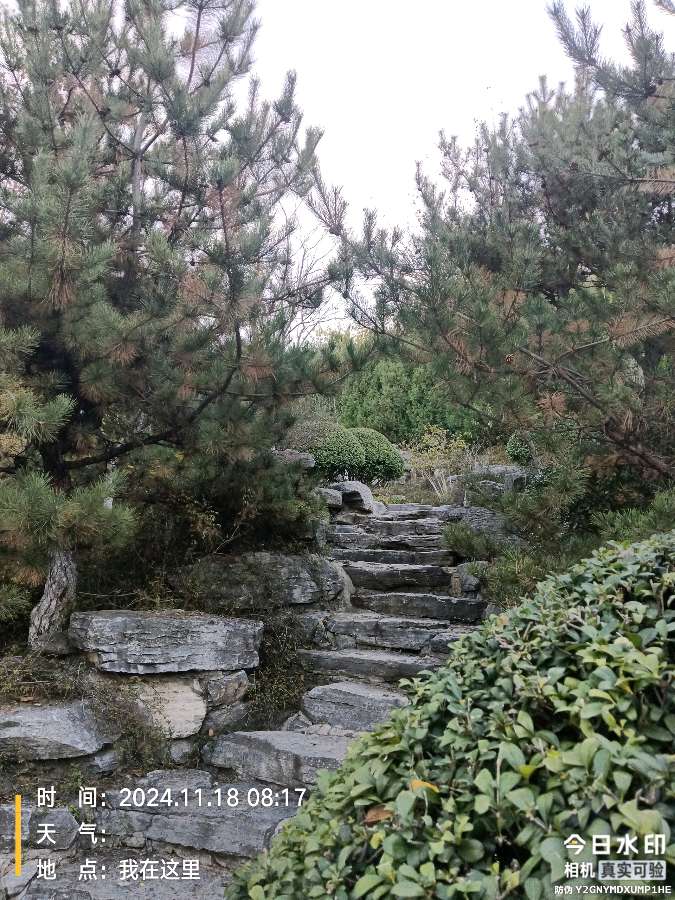 《今日小雪》赋诗两首与朋友们共勉潘家炜（缘梦）