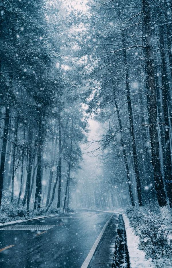 七绝-雪季随吟～诗||王政（图13）