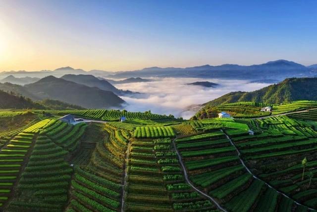 词 红罗袄（外十二首）江苏于达荣｜海外头条（图8）