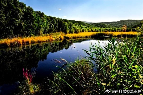 词 红罗袄（外十二首）江苏于达荣｜海外头条（图11）
