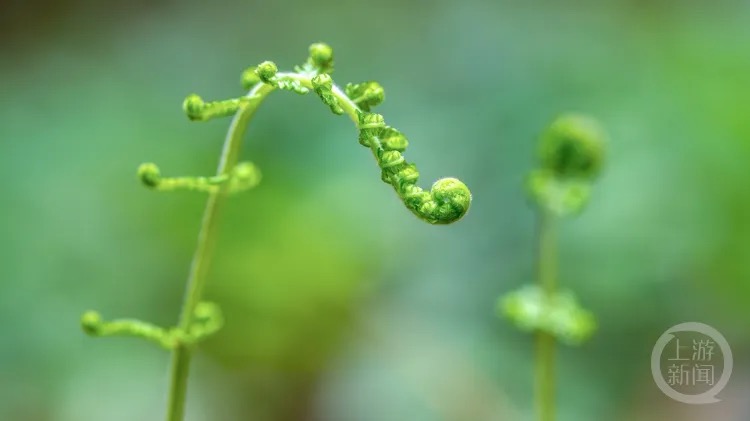 词 红罗袄（外十二首）江苏于达荣｜海外头条（图13）