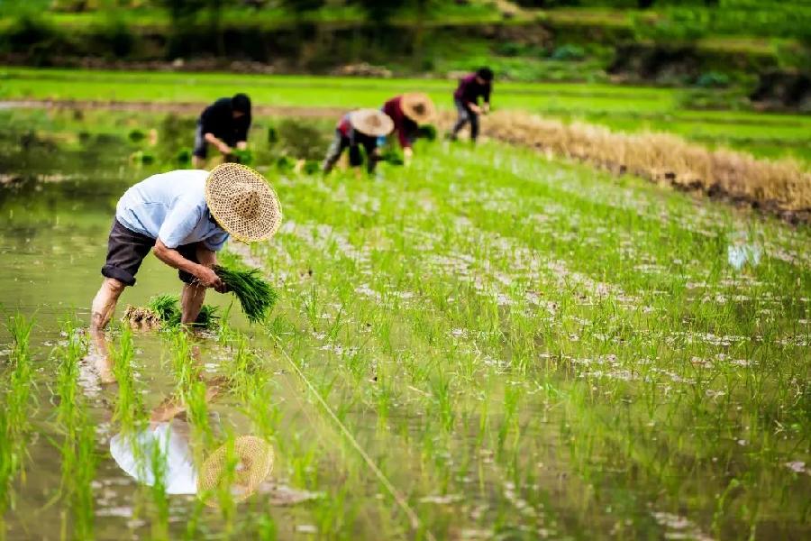 词 红罗袄（外十二首）江苏于达荣｜海外头条（图14）