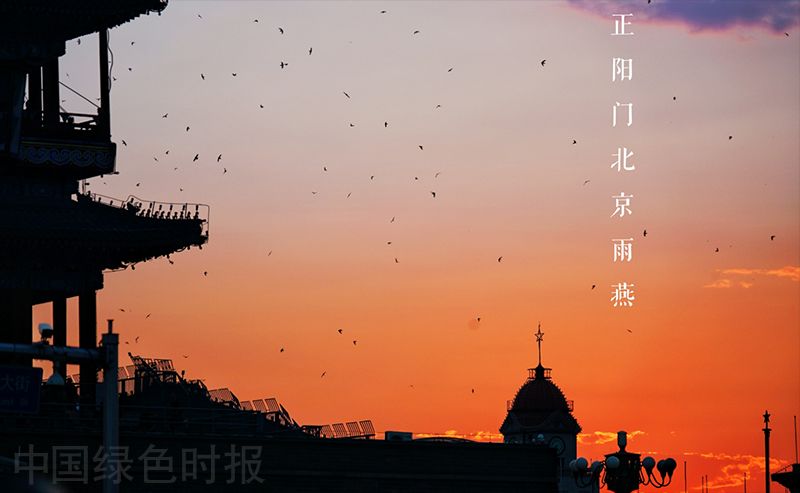 聆听 ‖ 爱玲朗诵《如果有那样一个黄昏》作者/阿紫（图7）