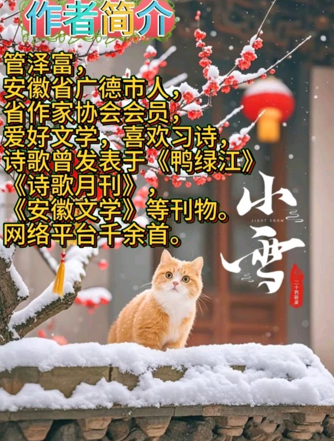 《敢问路在何方》作者:管泽富 [中国现代诗歌文化传媒]（图8）