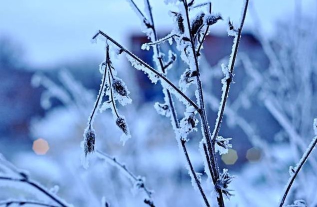 三人行2024第44期诗刊—北京头条（图17）