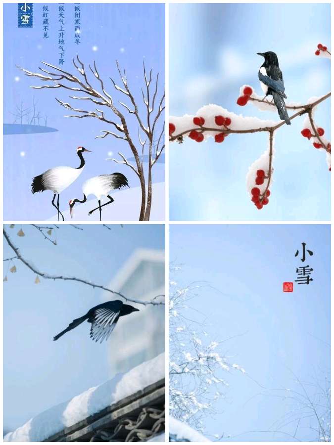 【经典推荐】鲁坡//依梅吟雪自清欢[冬韵抒怀系列作品展]（图3）