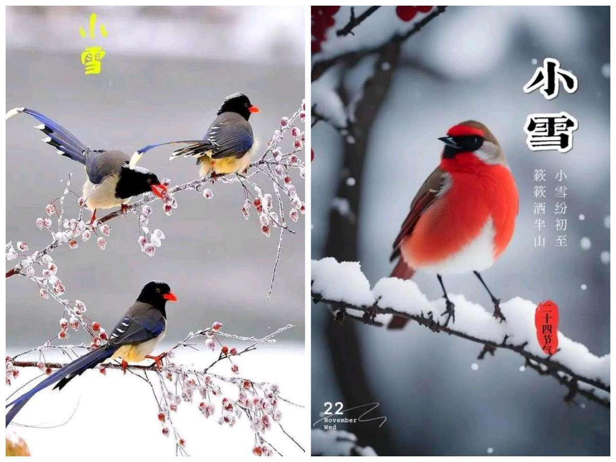 【经典推荐】鲁坡//依梅吟雪自清欢[冬韵抒怀系列作品展]（图4）