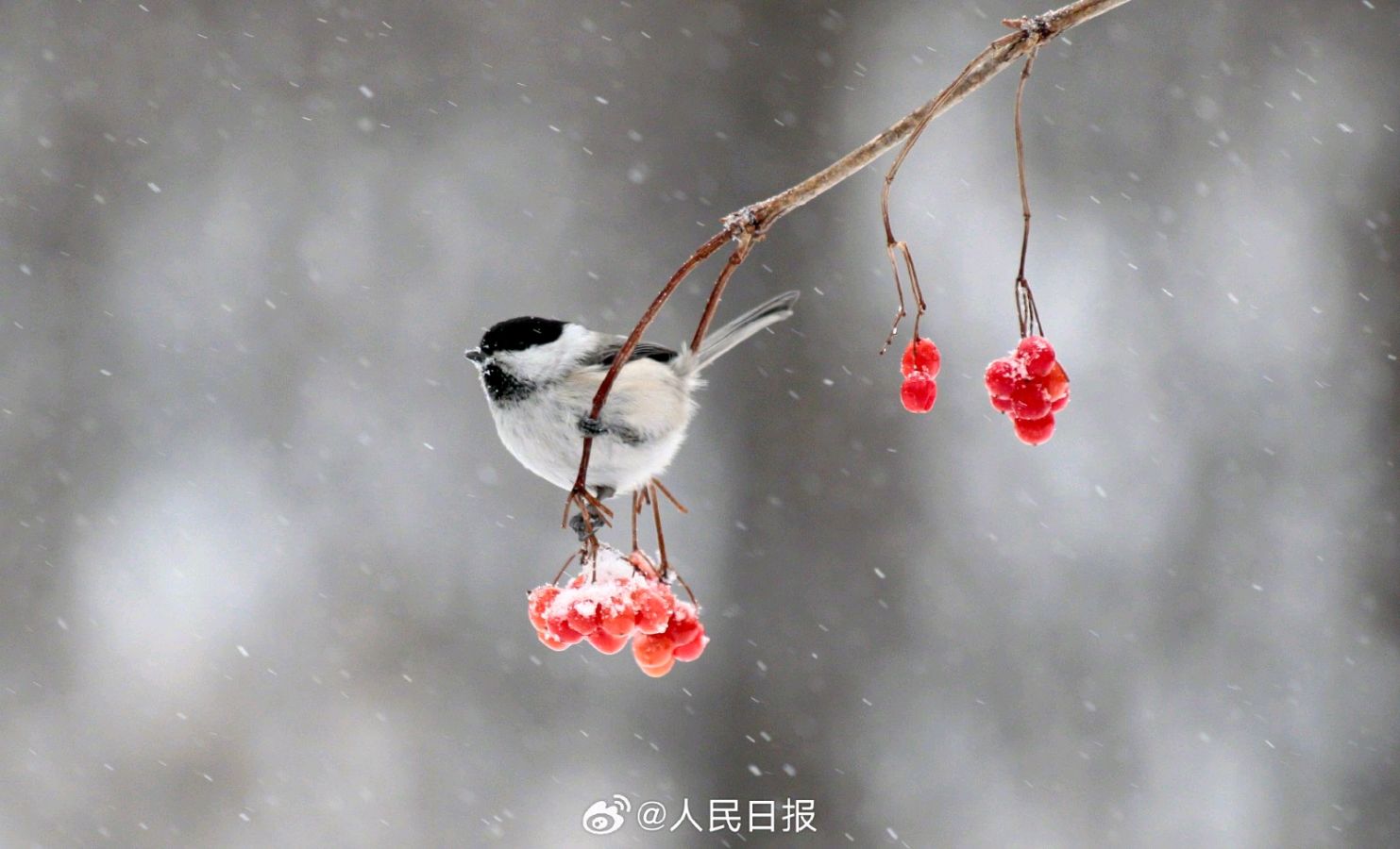 对句活动（五）‖巴彦诗词楹联协会【782】（图8）
