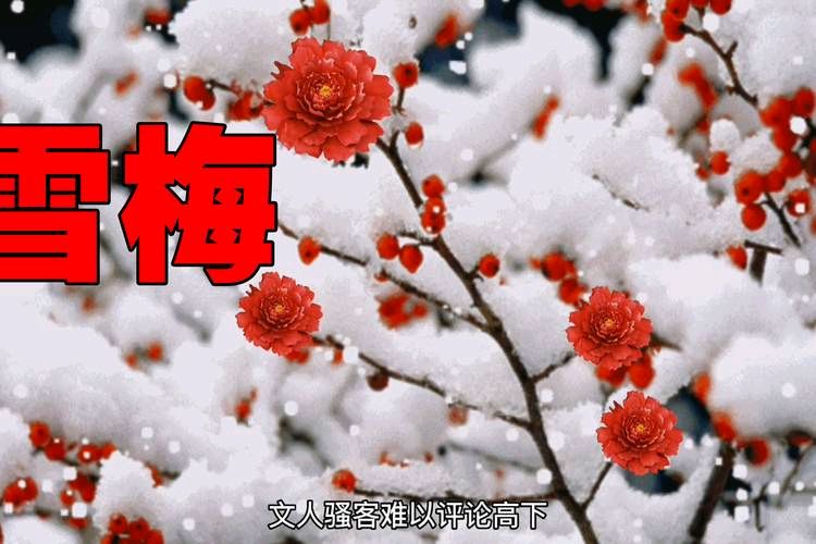 【经典推荐】鲁坡//依梅吟雪自清欢[冬韵抒怀系列作品展]（图10）
