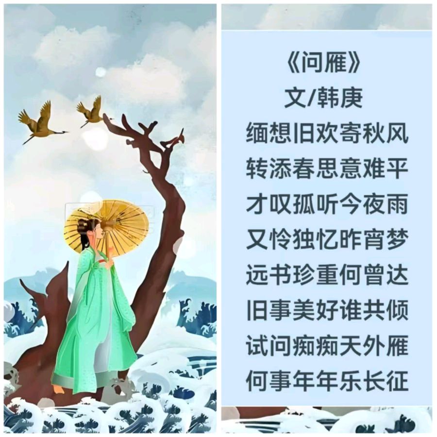 韩庚的《问雁》