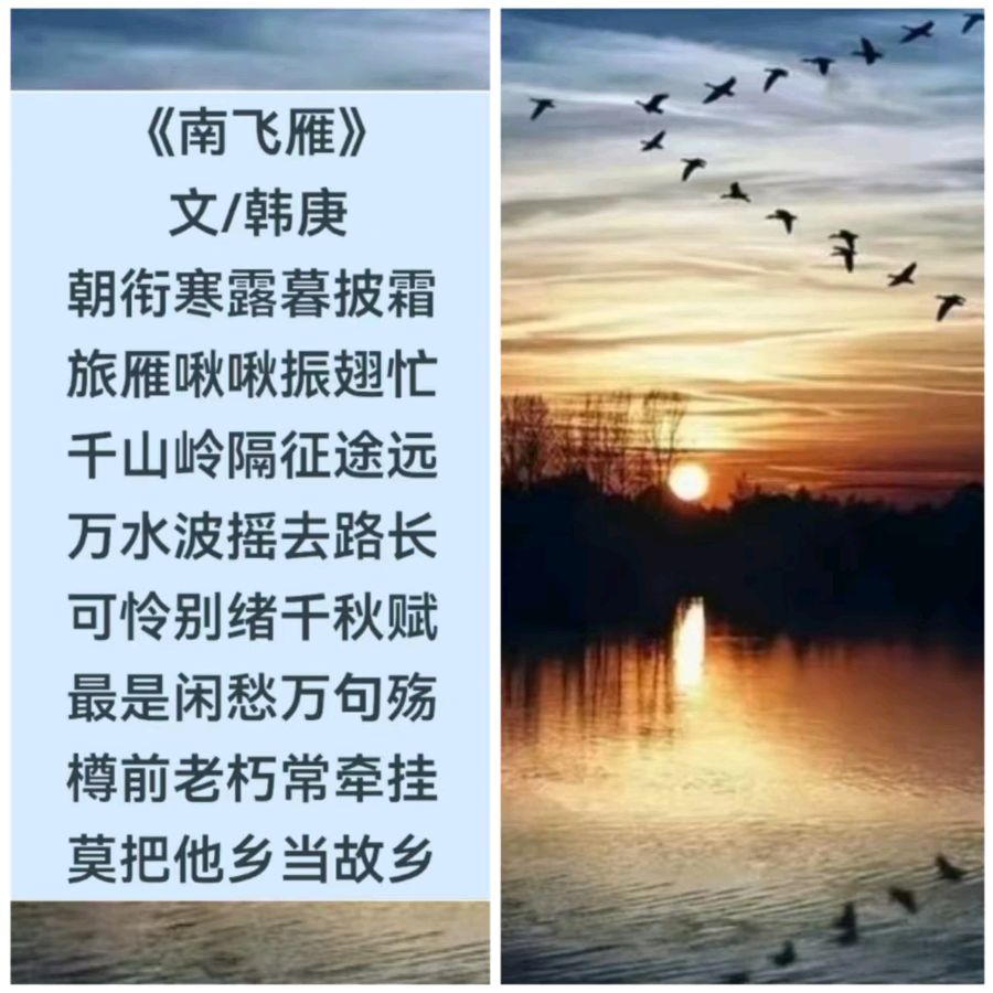 韩庚的《南飞雁》