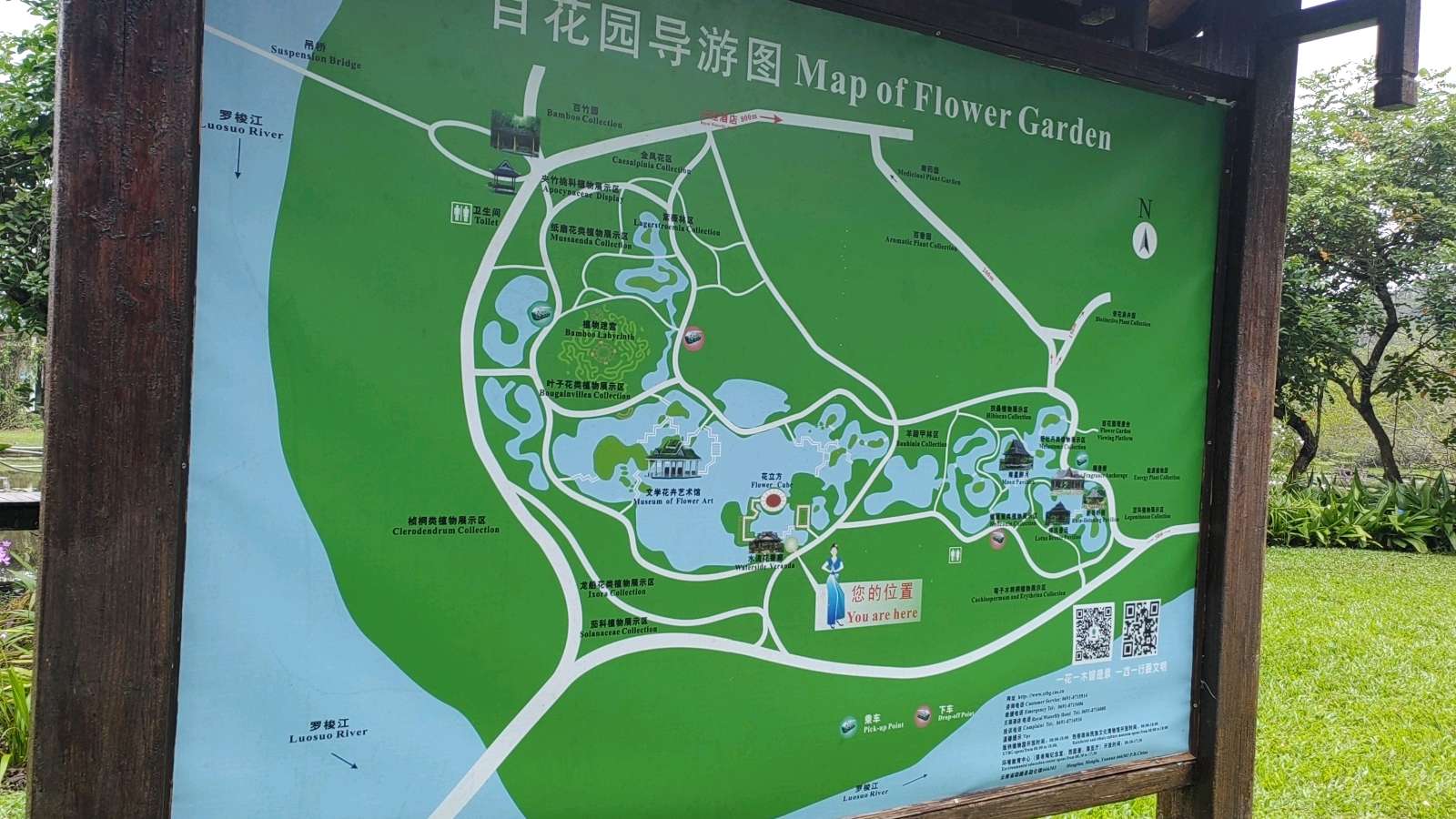 西双版纳热带植物园暨傣族园游记（图23）