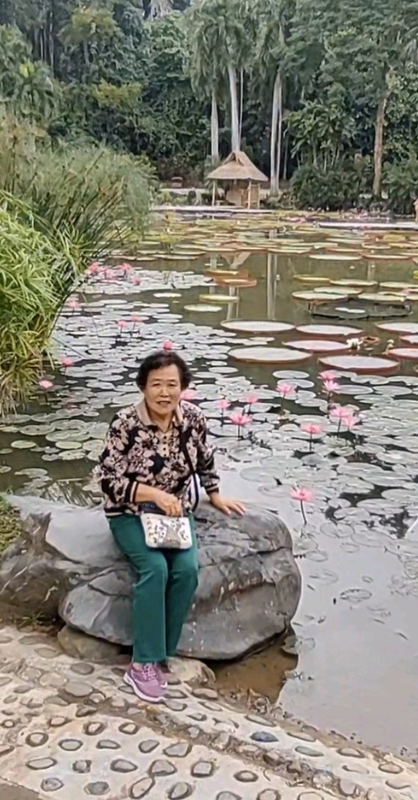 西双版纳热带植物园暨傣族园游记（图26）