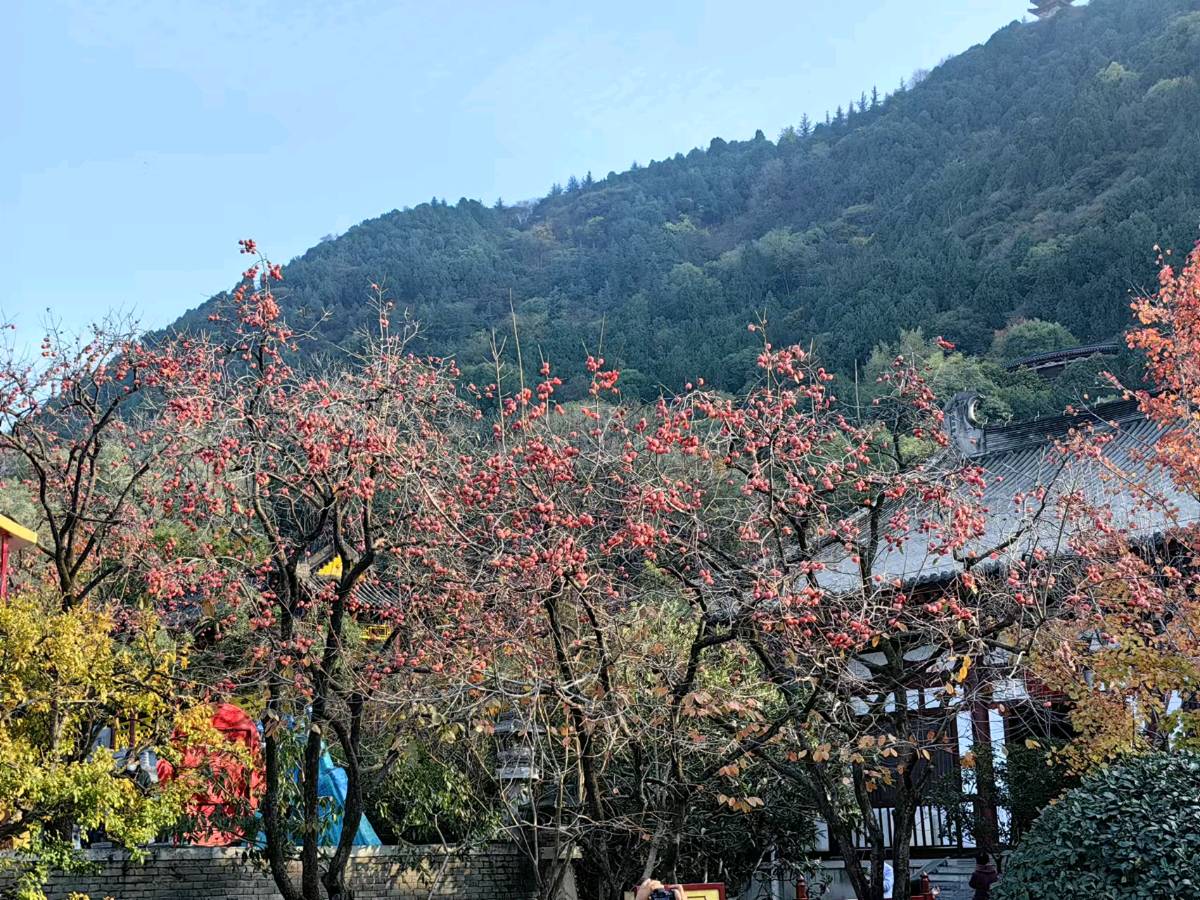 刘汉生的《西安行》（八首）（图7）