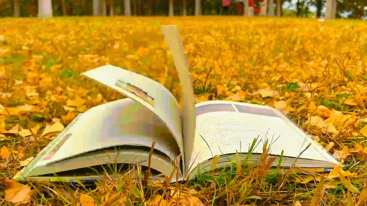 《金秋赏银杏》作者/叶进辉 诵读/知足常乐 编辑制作/青青【花雨馨声】第716期（图6）