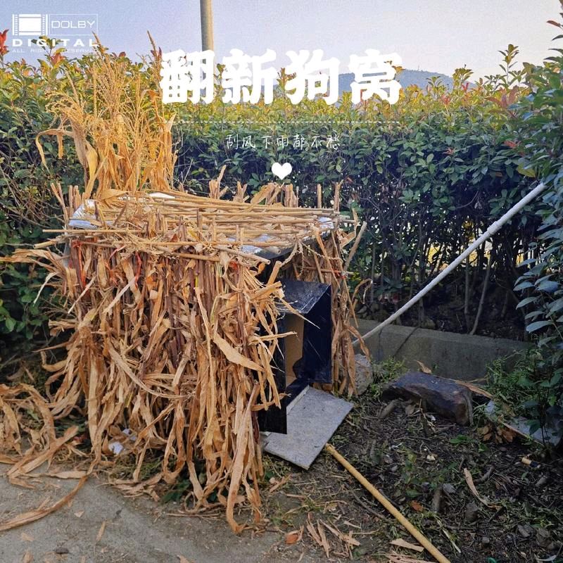 北辰诗歌 · 接苞米秆回家 朗诵/妙琪（图7）