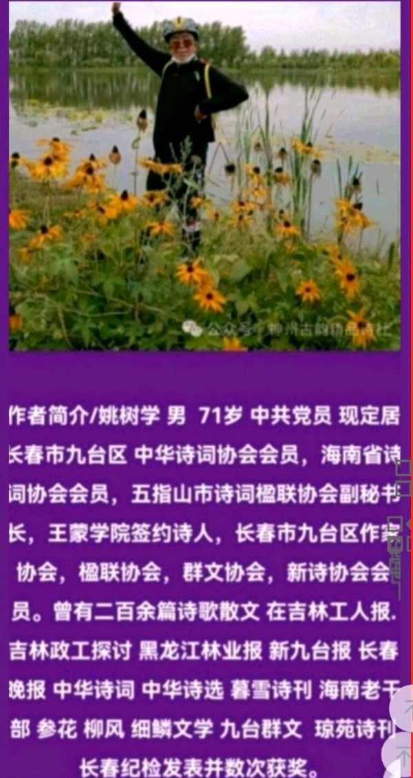 北辰诗歌 · 接苞米秆回家 朗诵/妙琪（图8）