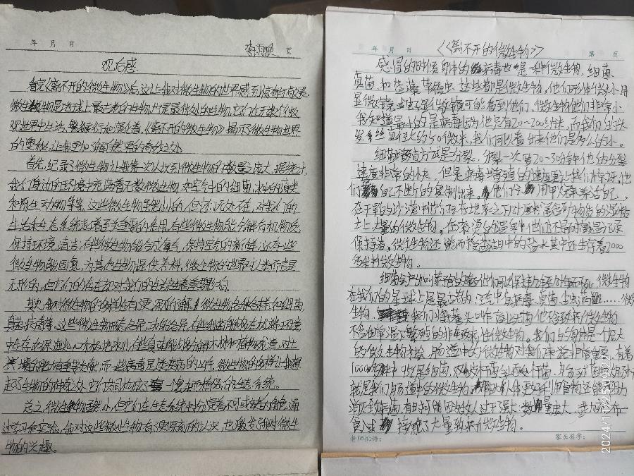 传播科学知识，助力教育振兴——“清华伟新科普讲坛”走进白佛小学（图9）