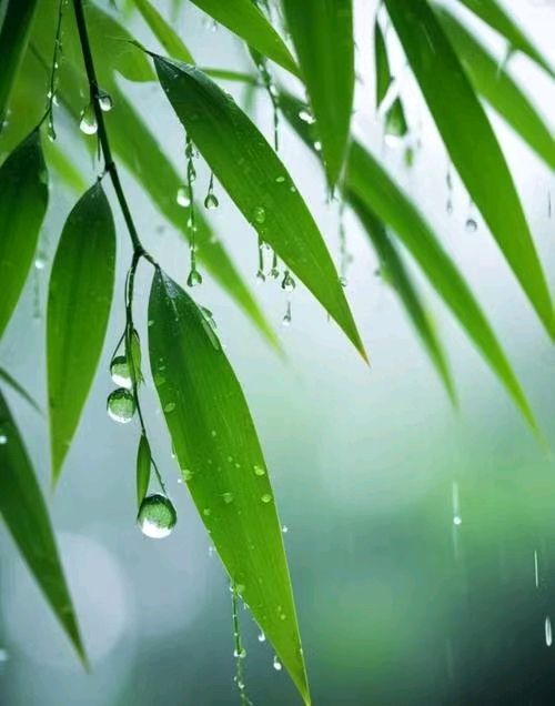 【都市头条向幸福出发编辑部】第12796期 秋天的雨 陈建海（图2）