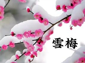 小雪 作者：闫明辉 诵读：张万娟（图4）