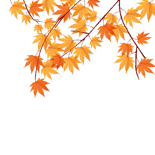 【枫雅汇看图约诗】第362期《初冬落叶》(图8)
