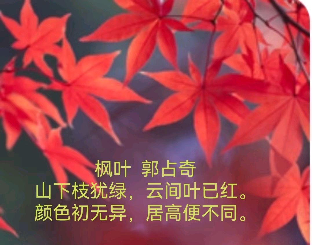 郭占奇老师题物诗汇编（27首）（图2）