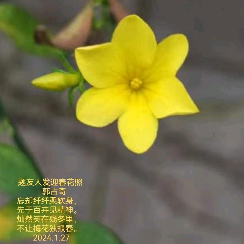 郭占奇老师题物诗汇编（27首）（图13）